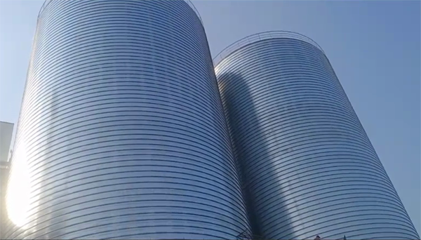 雁江2座混凝土高架卷板仓